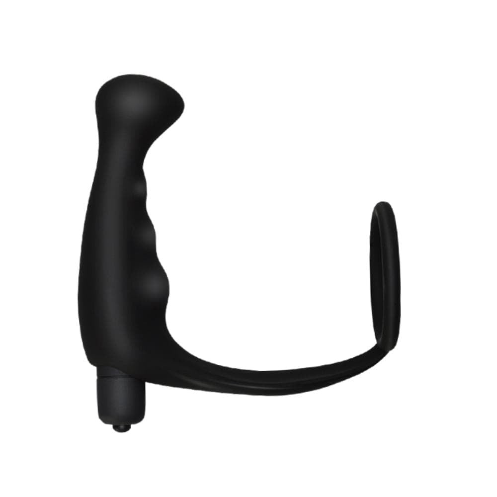 Double Penetration Anal Vibrator Prostate Stimulator