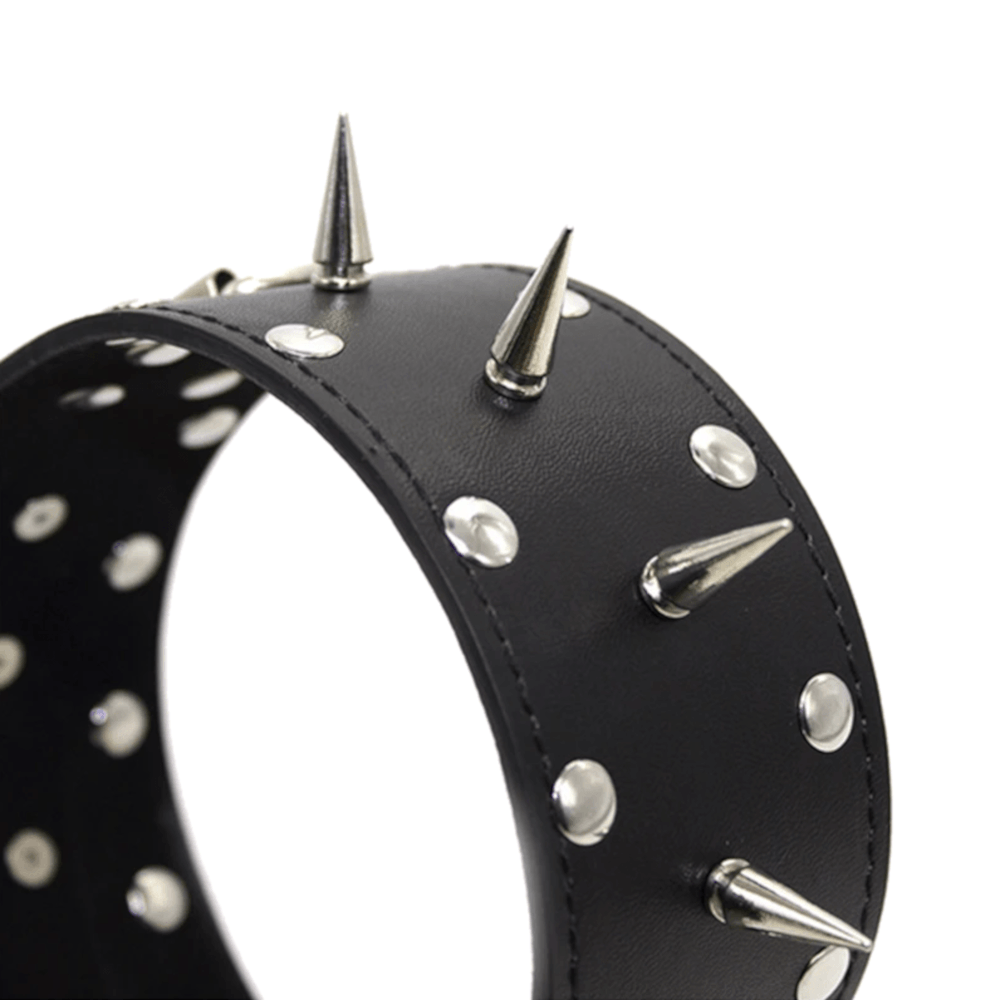 Spiked Leather Collar With Leash